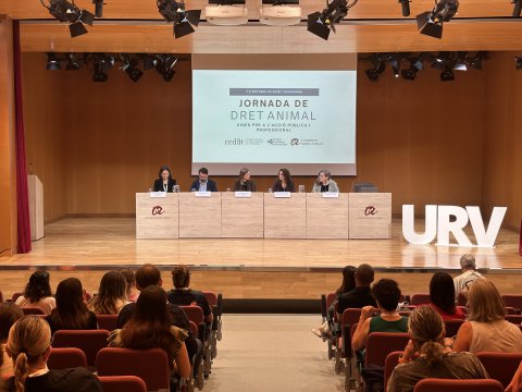 CEDAT reúne a expertos en derecho animal para abordar los retos de la protección animal mediante la acción pública y profesional